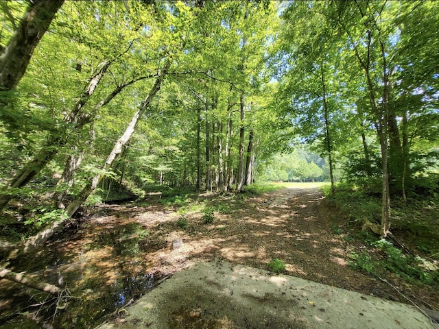 6704 Rockhouse Rd, Linden, TN 37096