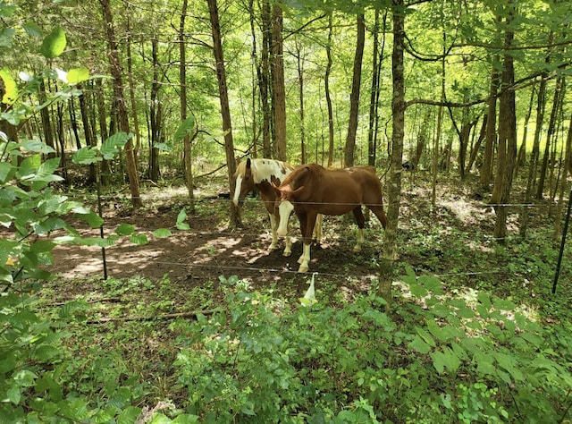 6704 Rockhouse Rd, Linden, TN 37096