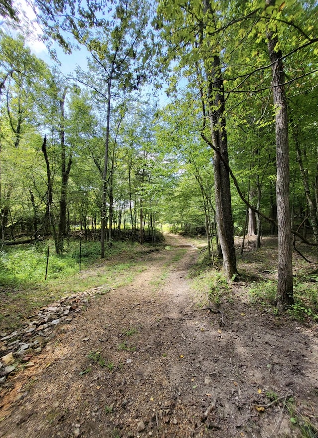 6704 Rockhouse Rd, Linden, TN 37096