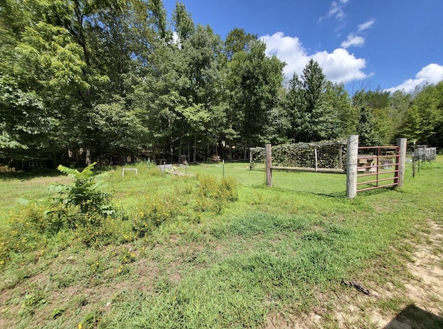 6704 Rockhouse Rd, Linden, TN 37096