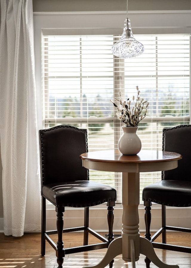 dining space featuring wood finished floors