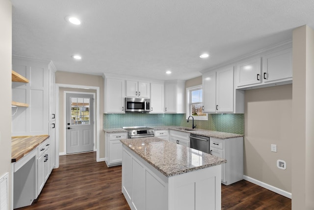 530 S Oak St, Hohenwald, TN 38462 - kitchen featuring plenty of natural light, a sink, open shelves, and appliances with stainless steel finishes