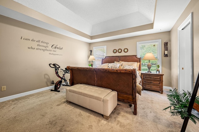 1712 Lake Grassland W, Gallatin, TN 37066 - bedroom with a textured ceiling, baseboards, a tray ceiling, and carpet floors