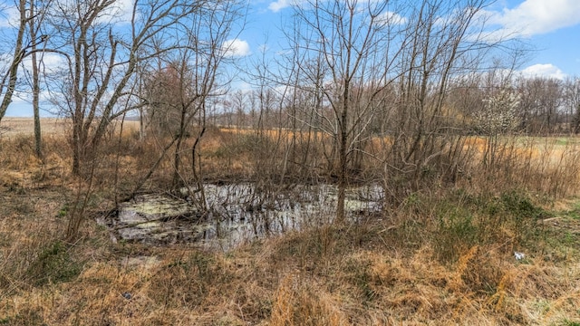 view of nature