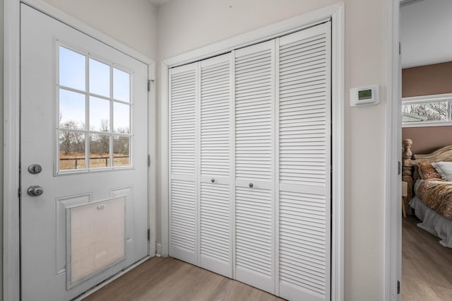 entryway featuring light wood-style floors