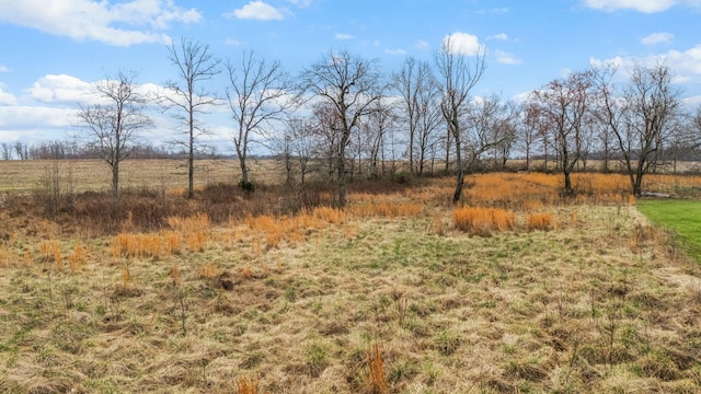 view of nature featuring a rural view