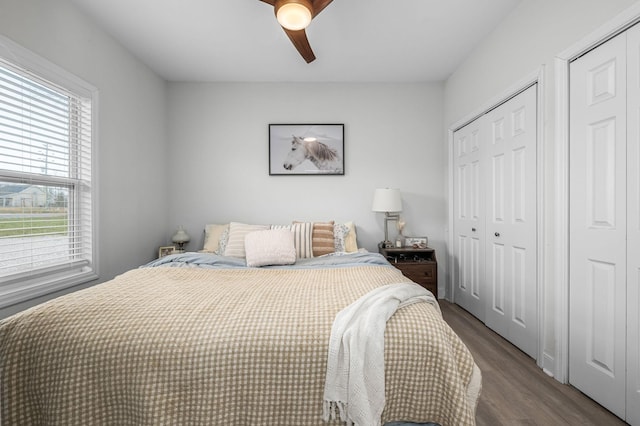 bedroom with multiple closets, ceiling fan, and wood finished floors