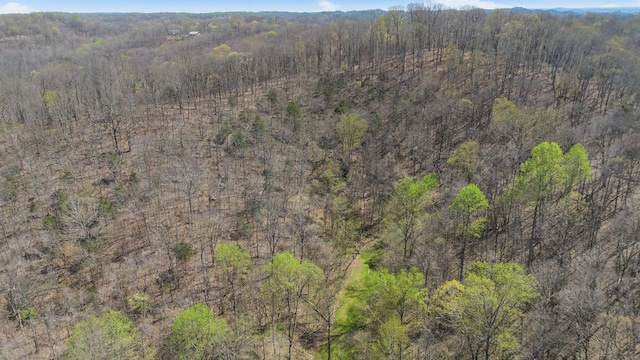 4897 Sulphur Creek Rd, Nashville, TN 37218 - bird's eye view with a view of trees