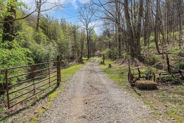 4897 Sulphur Creek Rd, Nashville, TN 37218 - view of street featuring a wooded view