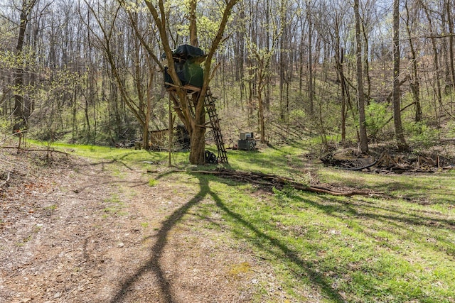 4897 Sulphur Creek Rd, Nashville, TN 37218 - view of yard featuring a view of trees