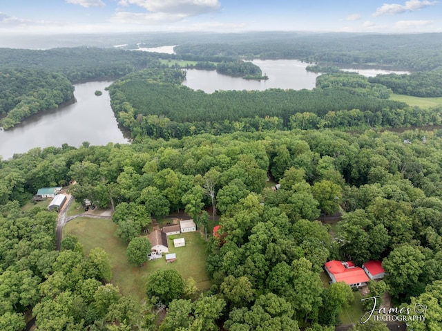 drone / aerial view with a view of trees and a water view