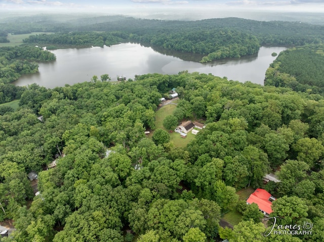aerial view featuring a view of trees and a water view