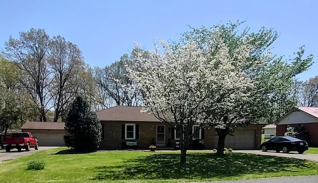 213 E Dale Ave, Eddyville, KY 42038 - photo 3