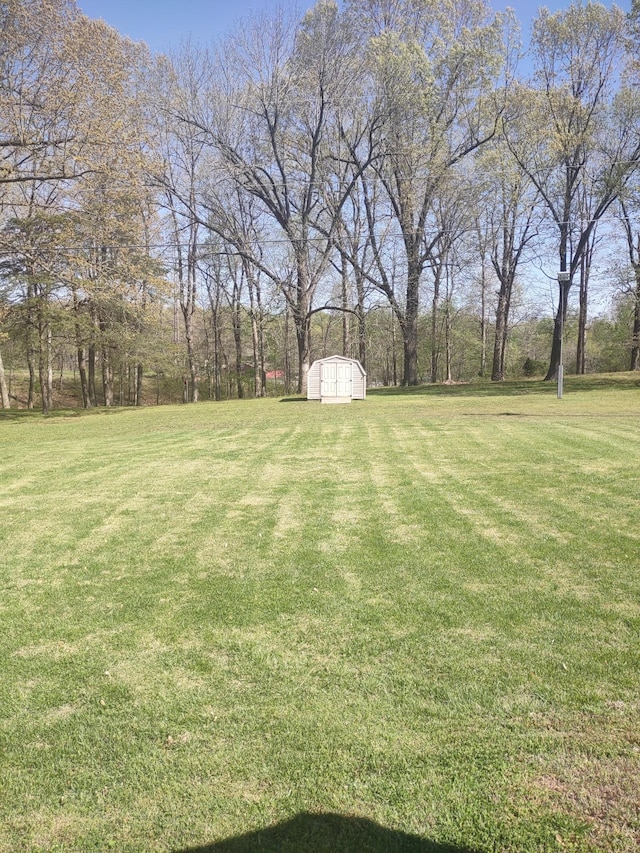 213 E Dale Ave, Eddyville, KY 42038 - photo 15