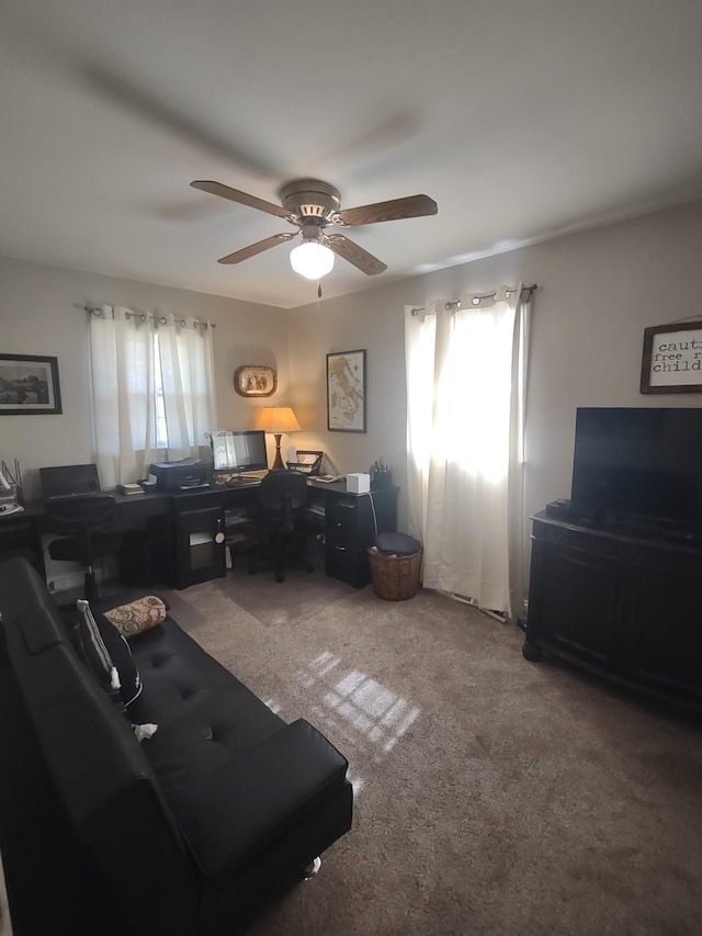 213 E Dale Ave, Eddyville, KY 42038 - photo 9