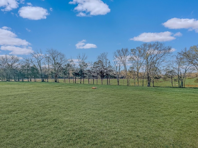 7004 Twelve Corners Rd, Lascassas, TN 37085 - view of green lawn