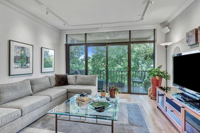 155 Harpeth Trace Smt, Nashville, TN 37221 - living room with track lighting, light wood finished floors, ornamental molding, and floor to ceiling windows