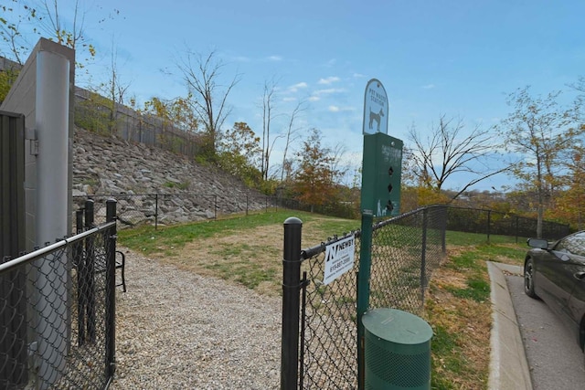 view of road with a gate, a gated entry, and driveway