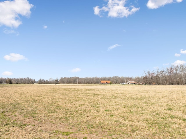 view of yard with a rural view