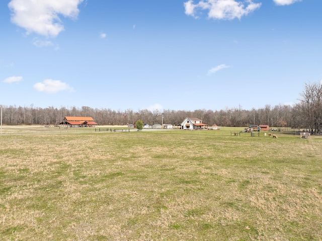 view of yard featuring a forest view and a rural view