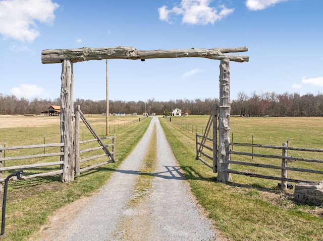 view of street with a rural view, driveway, and a gated entry
