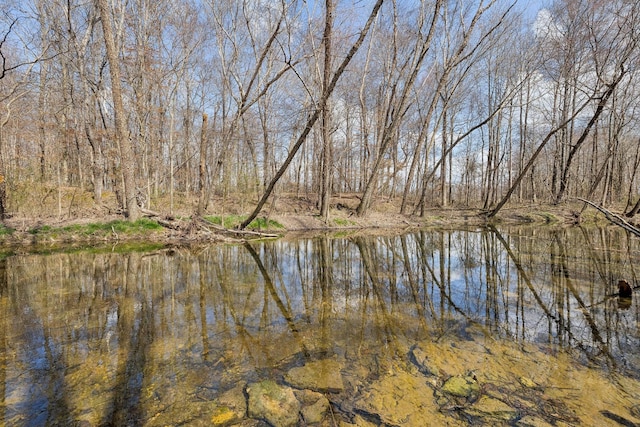 view of water feature