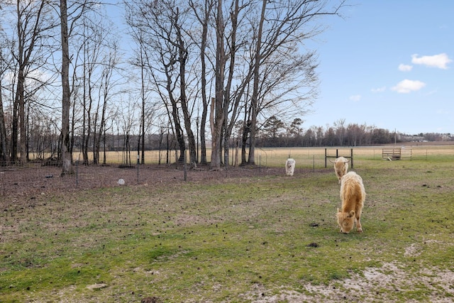view of yard with a rural view