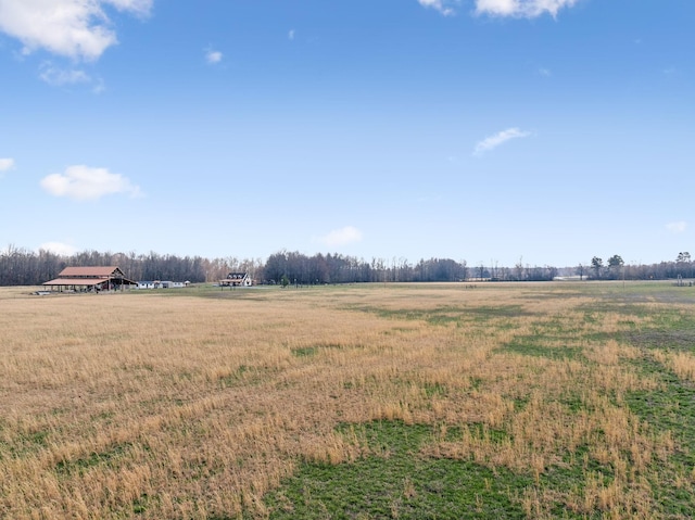 view of yard featuring a rural view