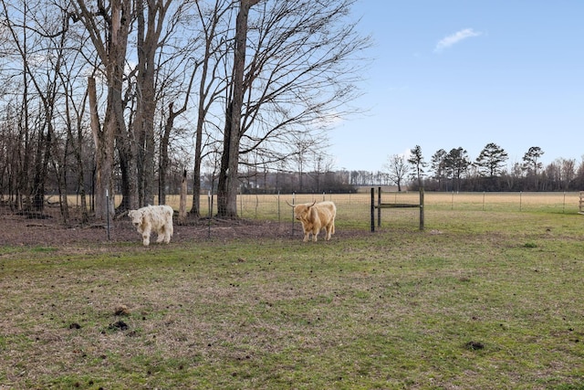 view of yard featuring a rural view
