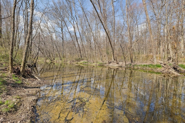 property view of water with a wooded view