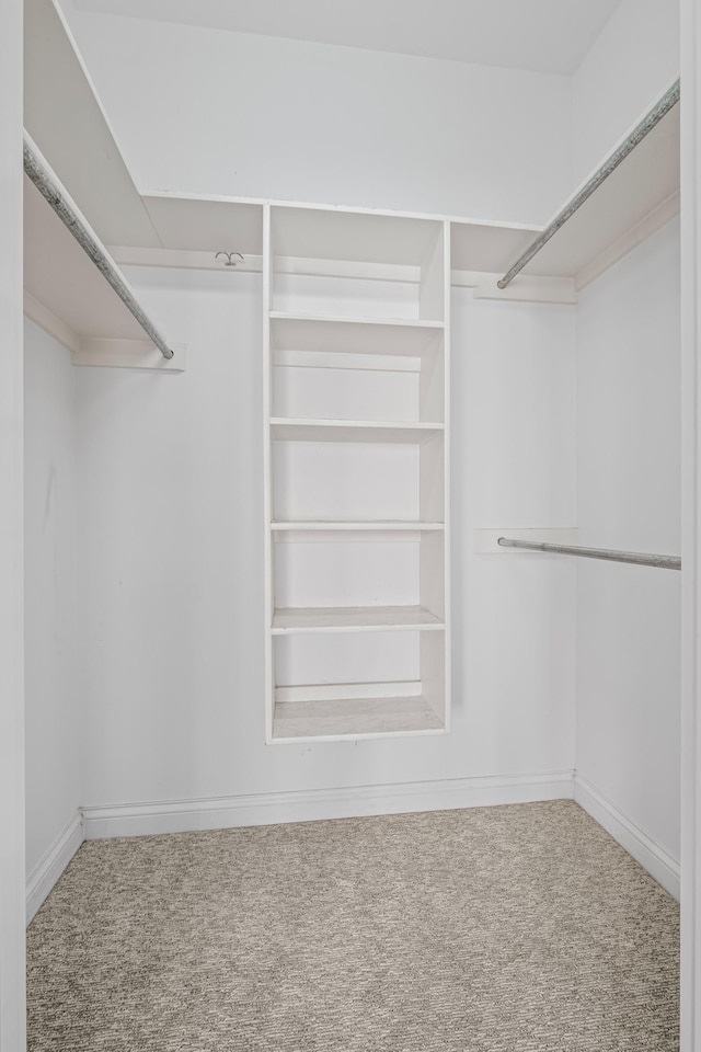 walk in closet with carpet flooring