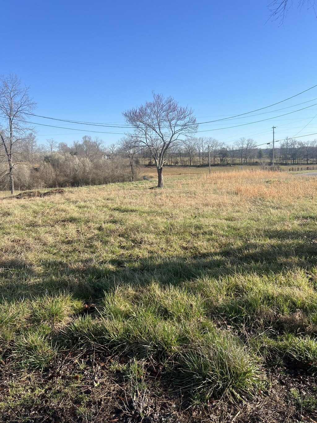2439 Bethany Rd, Mcminnville, TN 37110 - photo 4