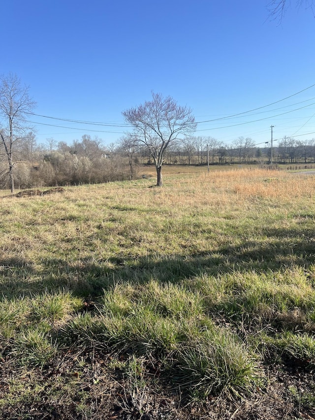 2439 Bethany Rd, Mcminnville, TN 37110 - photo 4