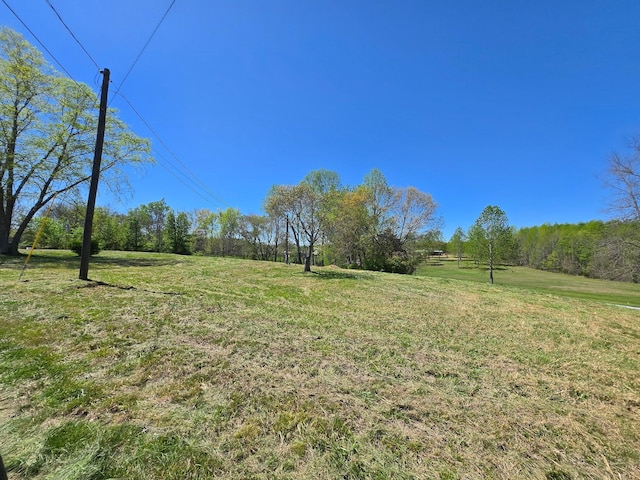 2439 Bethany Rd, Mcminnville, TN 37110 - photo 2