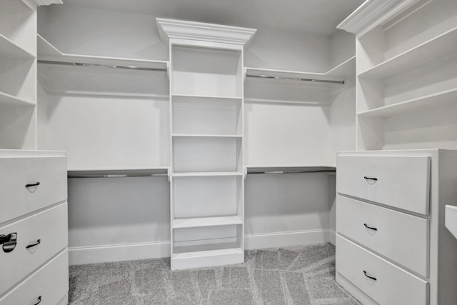 2821 Brentwood Knoll Ct, Nashville, TN 37211 - walk in closet with carpet floors