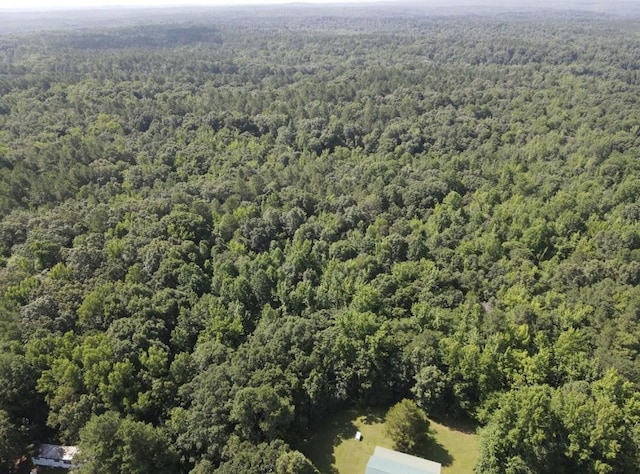 4875 Dollar Rd, Buena Vista, TN 38318 - photo 25
