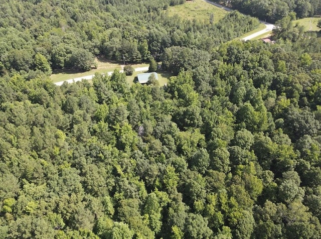 4875 Dollar Rd, Buena Vista, TN 38318 - photo 27