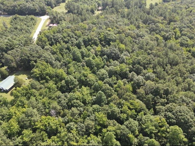 4875 Dollar Rd, Buena Vista, TN 38318 - photo 28