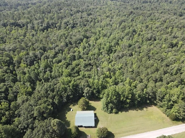 4875 Dollar Rd, Buena Vista, TN 38318 - photo 29