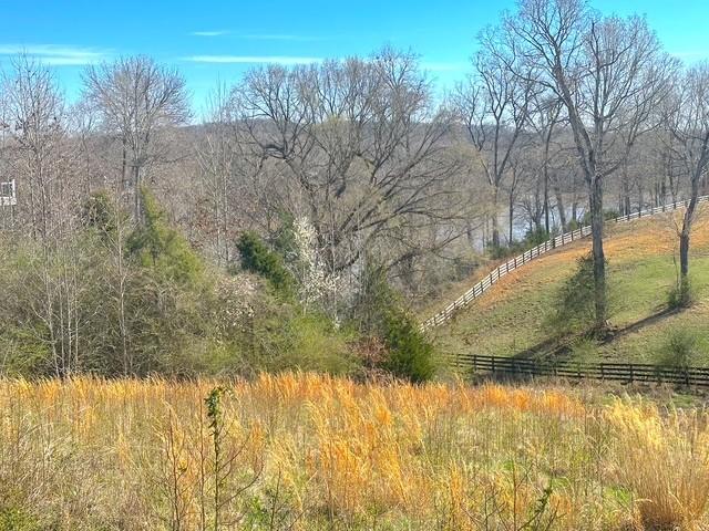 0 Rose Dr, Dover, TN 37058 - photo 5