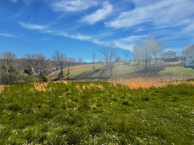 0 Rose Dr, Dover, TN 37058 - photo 3