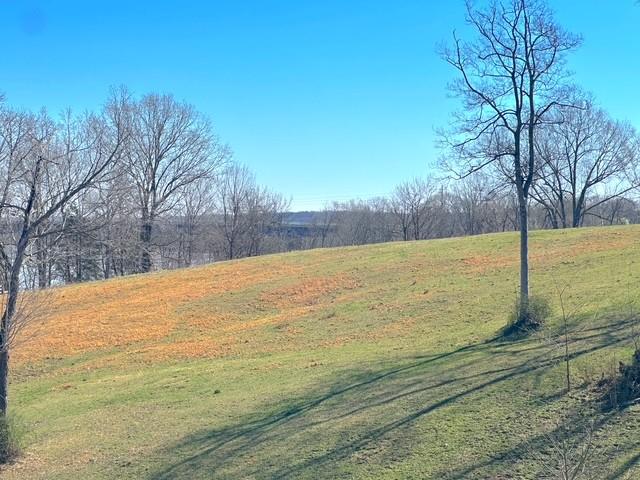 0 Rose Dr, Dover, TN 37058 - photo 6