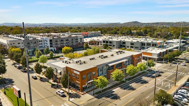 drone / aerial view
