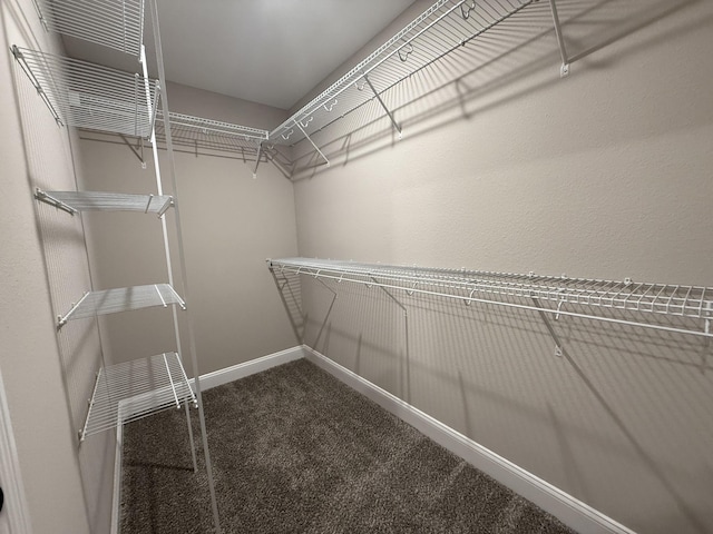 176 Cardinal Crk, Clarksville, TN 37040 - photo 14