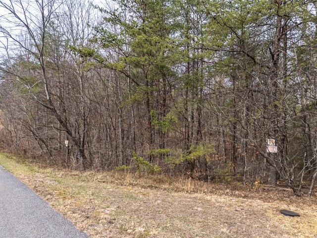 0 Brady View Dr, Crossville, TN 38555 - photo 6
