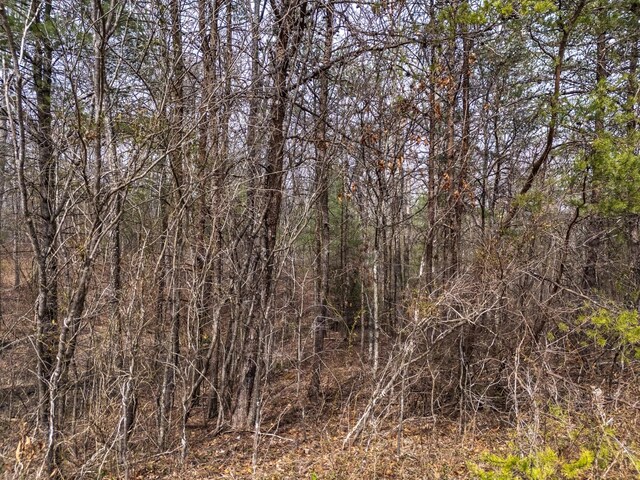 0 Brady View Dr, Crossville, TN 38555 - photo 8