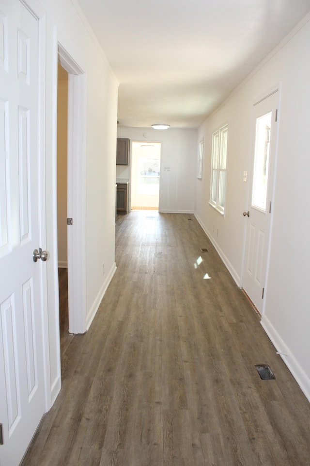 corridor featuring visible vents, baseboards, dark wood finished floors, and ornamental molding