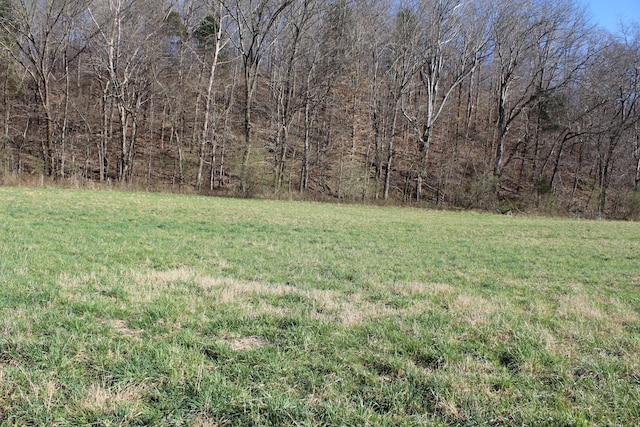 view of yard with a forest view