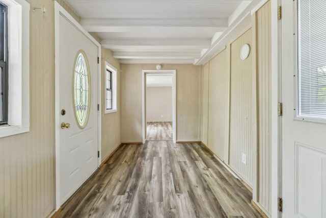 entryway featuring a wealth of natural light, wood finished floors, and beam ceiling