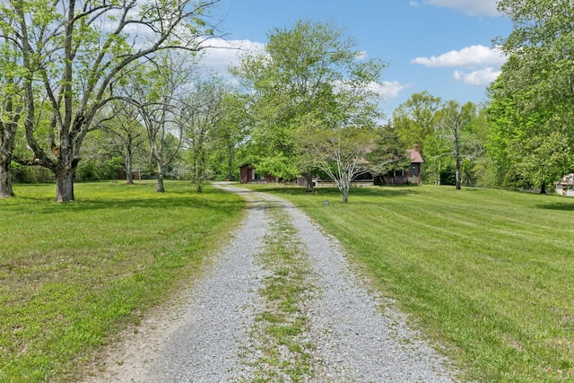 view of road with driveway